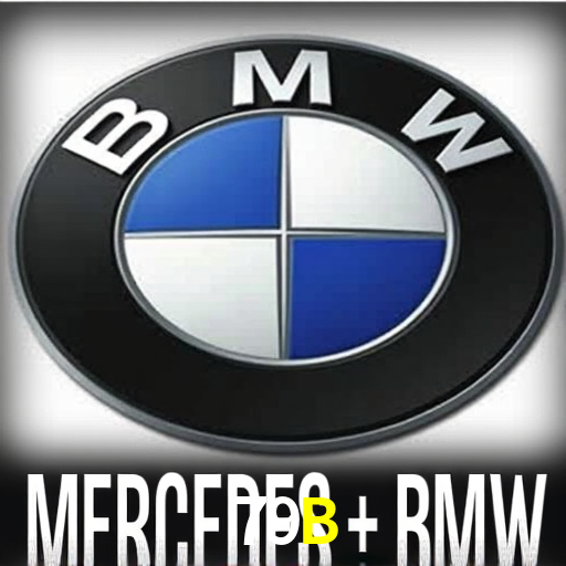 Interface Premium 79B